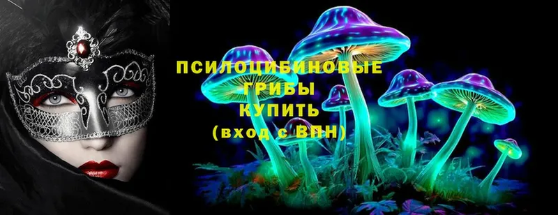 даркнет сайт  нарко площадка как зайти  Псилоцибиновые грибы мухоморы  Моздок 